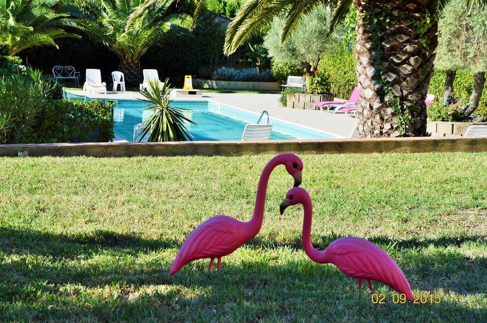 Villa Les 4 Saisons Saint Tropez Bagian luar foto